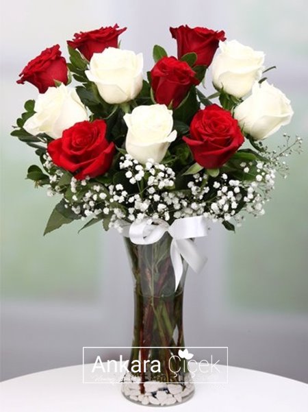 Vazoda Kırmızı ve Beyaz Güller
